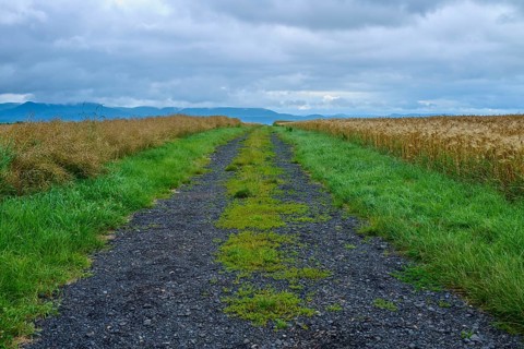 Field path under a cloudy sky in a rural setting, summer, Germerode, Geo nature park Park