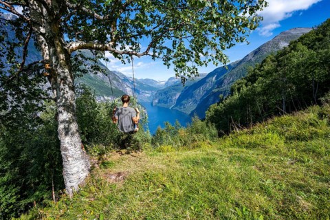 Young man swinging on a tree, view of idyllic fjord landscape of the Geirangerfjord at Blomberg