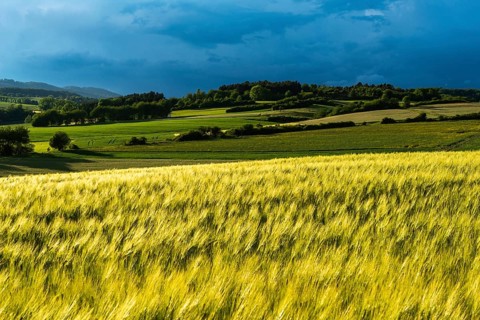 Dramatic cloudy sky with approaching storm and last rays of sunshine, Frankenhain, dark cloud wall,