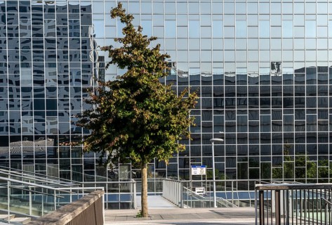 Reflecting facade of the Rabobank building at the central station, Utrecht Centraal, Netherlands