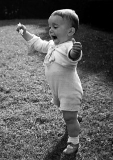 Little boy learning to walk, 1930s, Toddler stands happily in the meadow and raises his right arm,