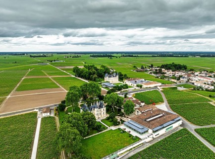 Chateau Pichon Longueville Comtesse de Lalande and Chateau Pichon Longueville Baron Vineyard around