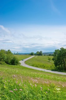 A winding road near St. Andreasberg leads over the hills in the Upper Harz through the Bergwiesen