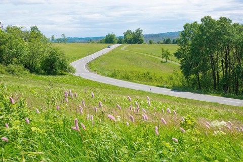 A winding road near St. Andreasberg leads over the hills in the Upper Harz through the Bergwiesen