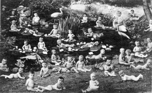 Naked babies in paradise, 1910s, Many babies in a lake with lotus flowers, surrounded by grass, in