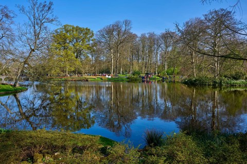 A peaceful park with a large pond in which the trees are reflected, Keukenhof, Lisse, province of