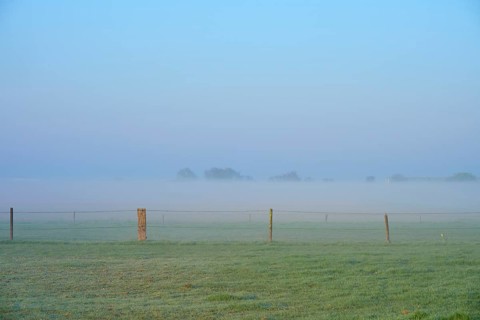 A misty meadow with scattered fences creates a peaceful morning atmosphere, Sassenheim, province of