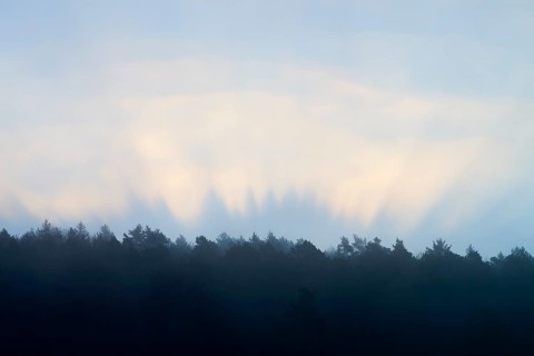 Sunbeams appear behind a forest at dawn, creates a dramatic picture, spring, Jossa, Sinntal,