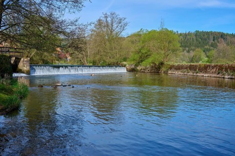 Water flows calmly through a green landscape surrounded by forest in spring, spring, Obersinn,