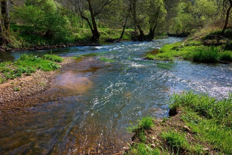 Gently flowing river SInn through a green and peaceful landscape surrounded by trees, spring,