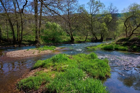 The river Sinn meanders through a green, wooded landscape under a clear sky, spring, Burgsinn,