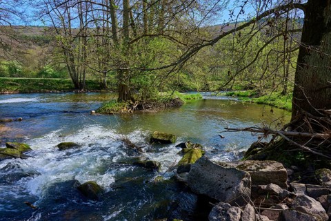 Clear water of a river Sinn flows between lush overgrown banks with trees and stones, spring,