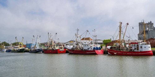 Fishing boats in the fishing harbour, Büsum, North Sea, Schleswig-Holstein, Germany