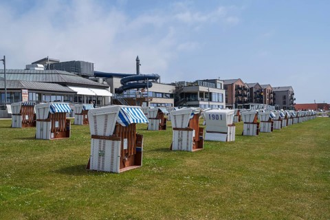 Beach chairs on the green beach, centre, Büsum, North Sea, Schleswig-Holstein, Germany