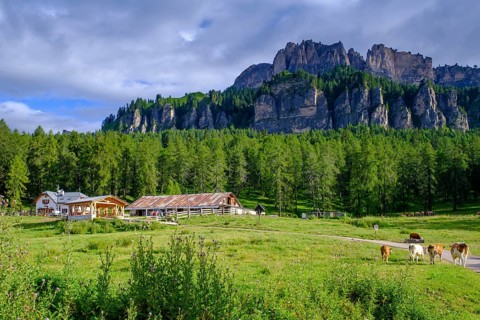 Rifugio Malga Lareto, el brite de Larieto, Cortina d'Ampezzo, Dolomites, Veneto, Italy