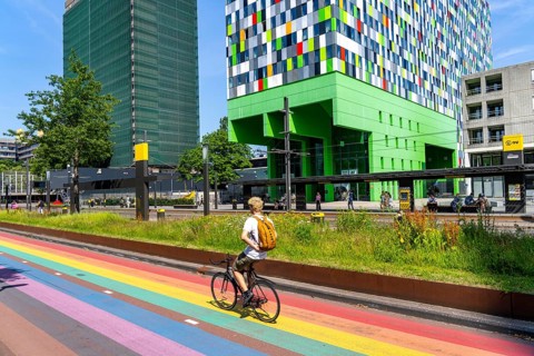 Rainbow cycle path through the university campus in Utrecht Science Park, 570 metres long, Utrecht