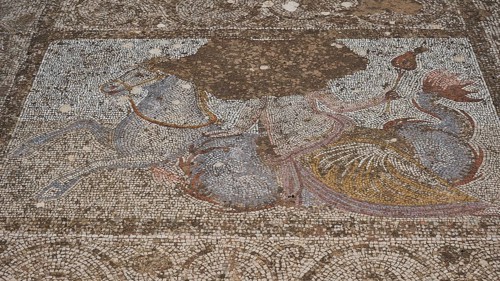©Udo Rein, Antique mosaic of a rider on a horse in colour pattern, water basin, Casa Romana, Kos