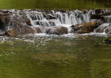 Small waterfall, Wangauer Ache flows through a forest, Mondseeland, Salzkammergut, Upper Austria,