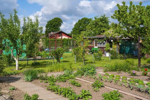 Garden house and fruit trees in allotment garden, allotment garden, garden, spring, Kamen, Ruhr