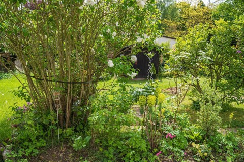 Garden with hut in spring, North Rhine-Westphalia, Germany