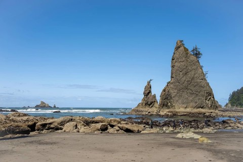 Large rocks protrude from a sandy beach against a clear blue sky, people walk along the shore,