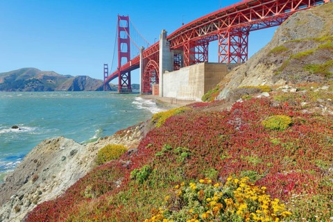 View of Golden Gate Bridge from Bakery beach, San Francisco, California, USA