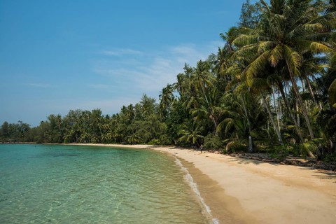 Sandy beach beach with coconut palms, Ngam Khor Beach, Koh Kood, Koh Kut, Gulf of Thailand,