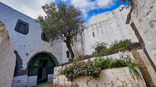 Courtyard with white walls, a tree and flowering plants, Monastery of the Revelation, Moni tis