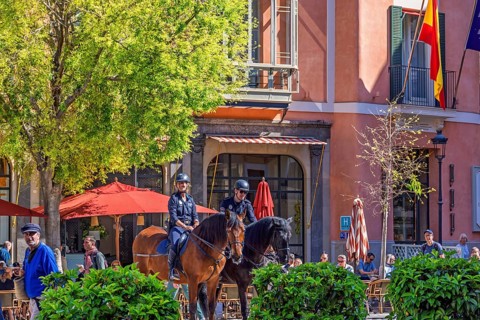 Horses with mounted police in a city square with people and houses with restaurants, Palma de