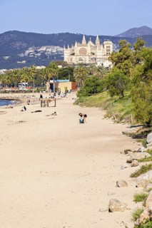 Sand beach with sunbathing people at Palma beach with the famous Palma Cathedral in the backgrounds