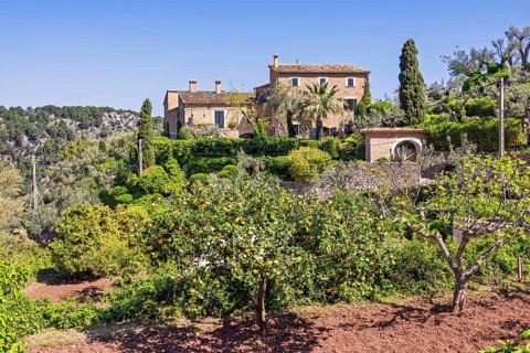 Lemons and oranges orchard at a farm on the spanish countryside a sunny summer day with a clear