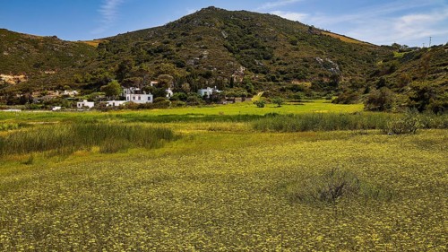 Green landscape with hills and small white houses against a blue sky, Lambi Beach, Lambi Bay,