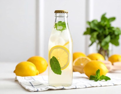 Bottle of fresh cold sparkling water lemonade with ice and lemon slices, mint, summer drink,