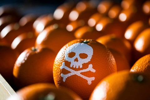 Macro close-up of ripe orange with painted skull symbol in rustic crate, illustrating pesticide