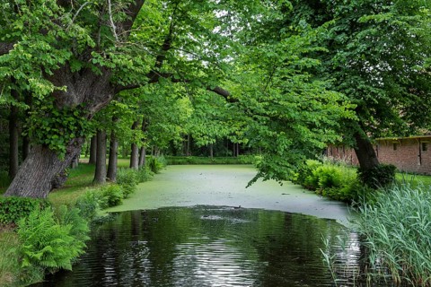 A tranquil river surrounded by lush green trees and plants, a peaceful nature spot, Slochteren,