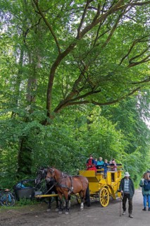 Postillion, passengers, stagecoach, Verein Postkutsche Lüneburger Heide e.V., Klecken, Rosengarten,