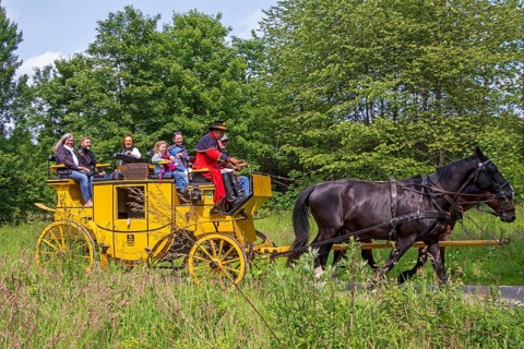 Postillion, passengers, stagecoach travelling through meadows, Verein Postkutsche Lüneburger Heide
