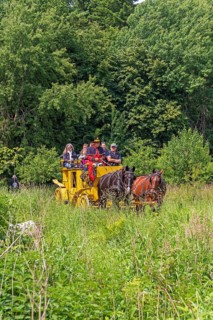Postillion, passengers, stagecoach travelling through meadows, Verein Postkutsche Lüneburger Heide