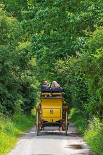 Passengers, stagecoach, forest path, Verein Postkutsche Lüneburger Heide e.V., Klecken,