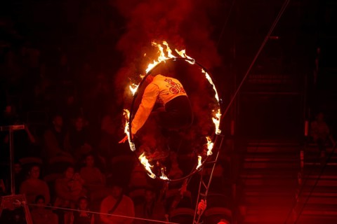 Performance by Circus Barelli in Mannheim***Picture: Magic show by the Tonito family from Spain
