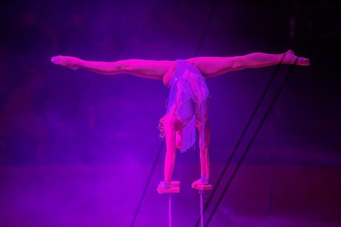 Performance by Circus Barelli in Mannheim***Picture: Hanstand acrobatics by Milena