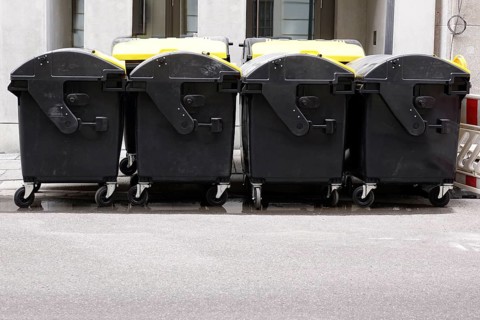 Dustbin, Germany
