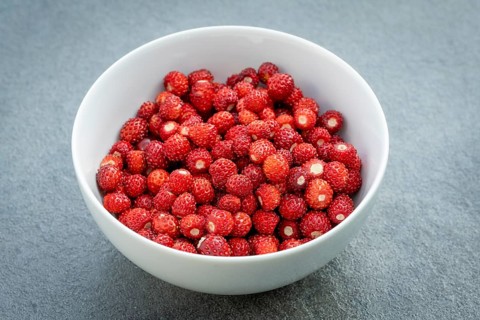Abgeerntete Wald-Erdbeeren (Fragaria vesca), zum Verzehr in einer Schale, Nahaufnahme,