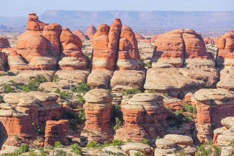 Sandstone pinnacles, Chesler Park, The Needles district, Canyonlands National Park, Utah, USA