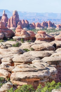 Sandstone pinnacles, Chesler Park, The Needles district, Canyonlands National Park, Utah, USA