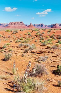 Valley of the Gods, Utah, USA