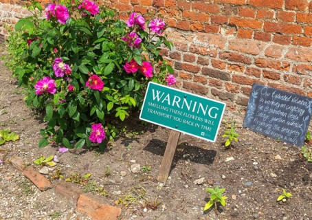 Creation of an Elizabethan style garden by volunteers at Framingham Castle, Suffolk, England, UK