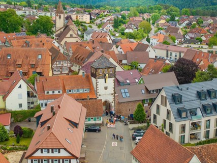 View of a picturesque village with half-timbered houses and a church, surrounded by green