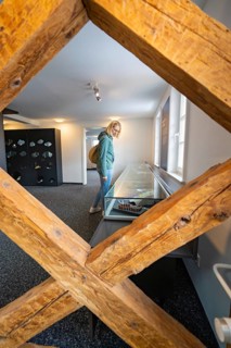 Woman looking at a display case in a modern showroom with wooden accents, family party in