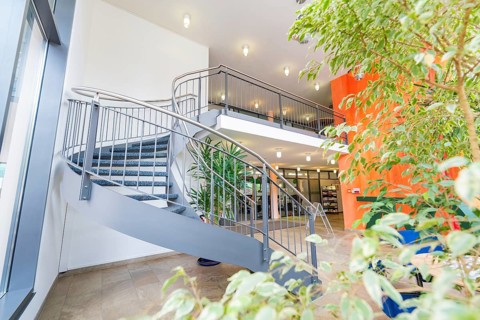 Stylish staircase with modern architecture, lots of light and plants in a building, town hall,